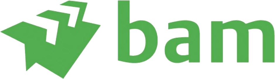 2017-02-23-161741BAM-logo