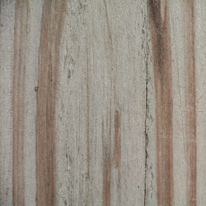 Douglas vergrijsd - Groene Bouwhekken