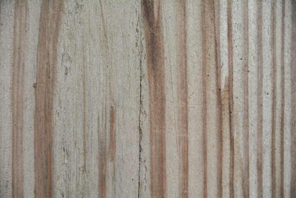 Douglas vergrijsd - Groene Bouwhekken