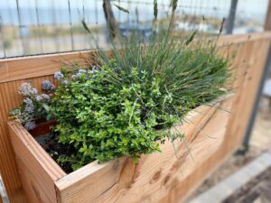 plantenbakken groene bouwhekken zee