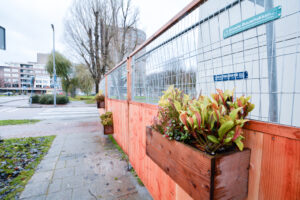 BAM Groene Bouwhekken duurzaam
