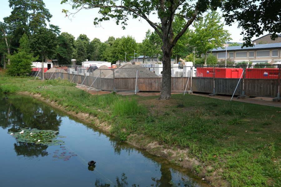 2025-07-02 Wierslaan, Utrecht-5