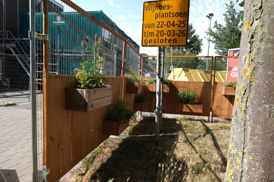 2025-07-02 Wijnbeplantsoen, Utrecht-3