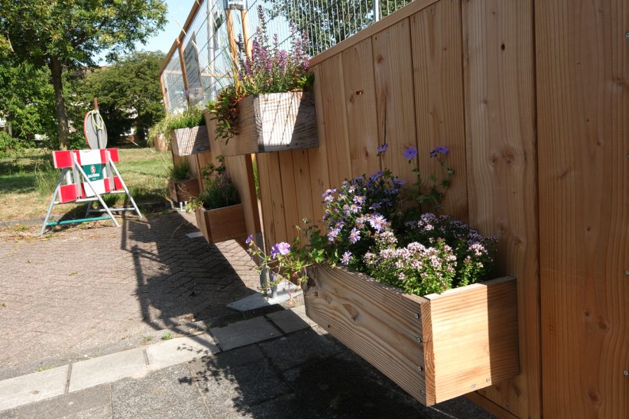 2025-07-02 Wijnbeplantsoen, Utrecht-5