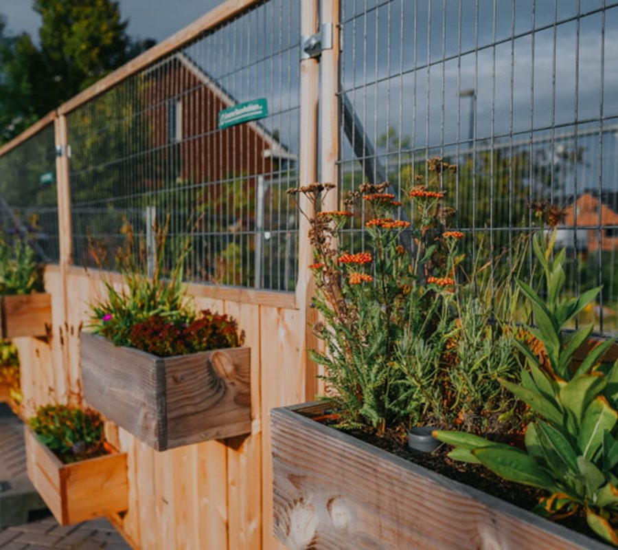 GB Vlaardingen 09 (lowres, 2025)