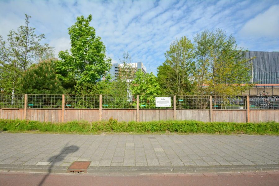 Groenebouwhekken_thefield_05-1024x683