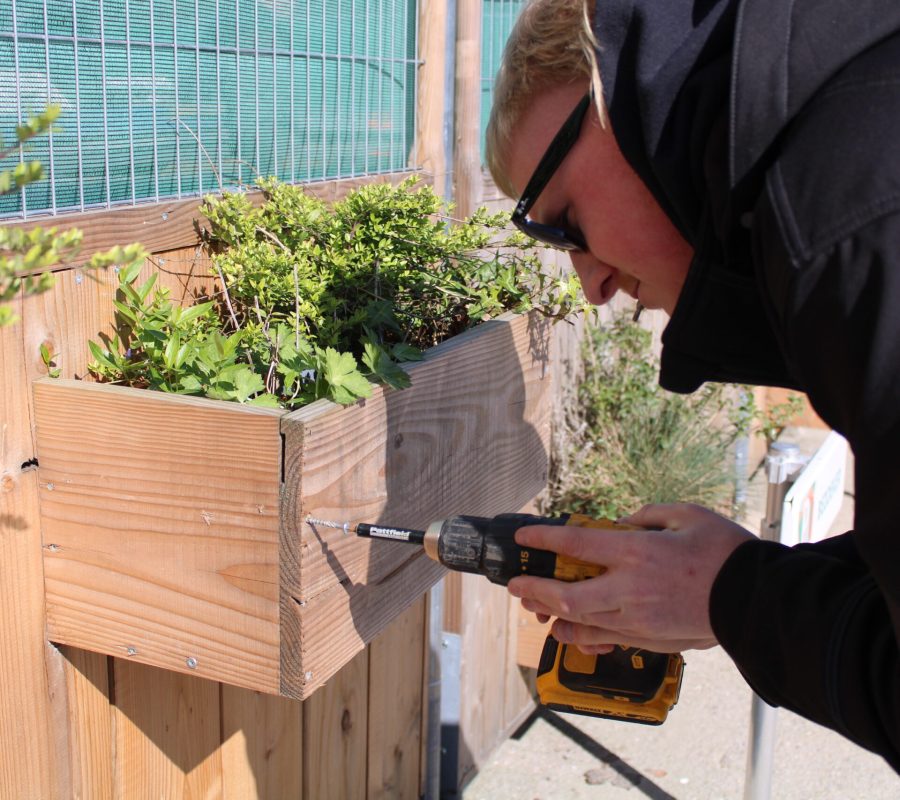 IMG_3048 kopie 16.16.03