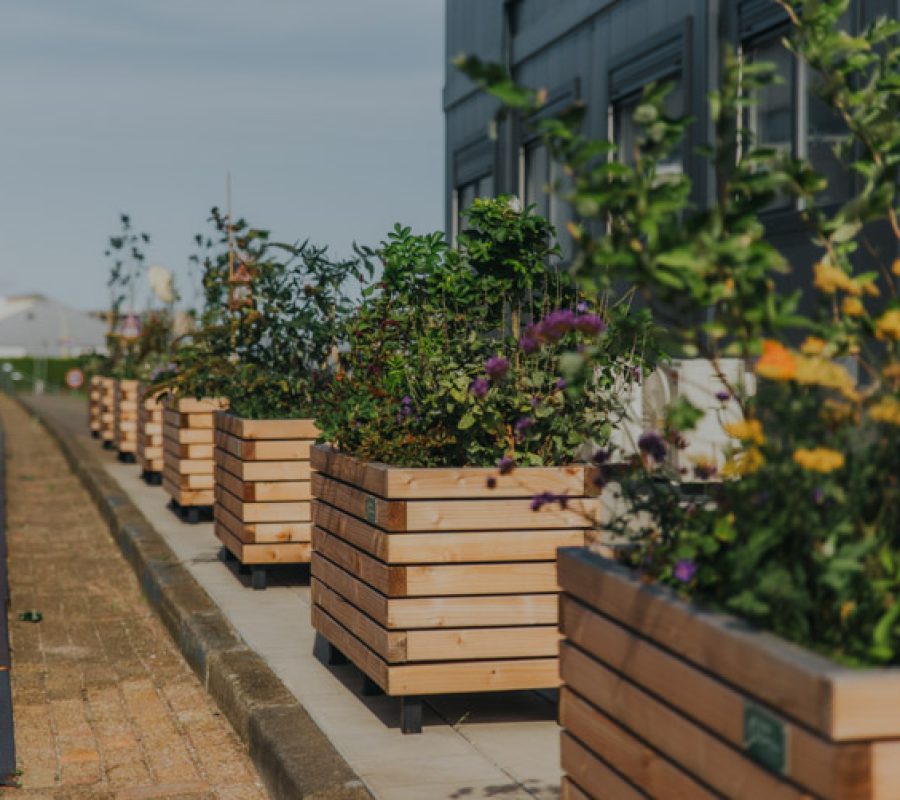 Plantenblok Groene Bouwhekken 2