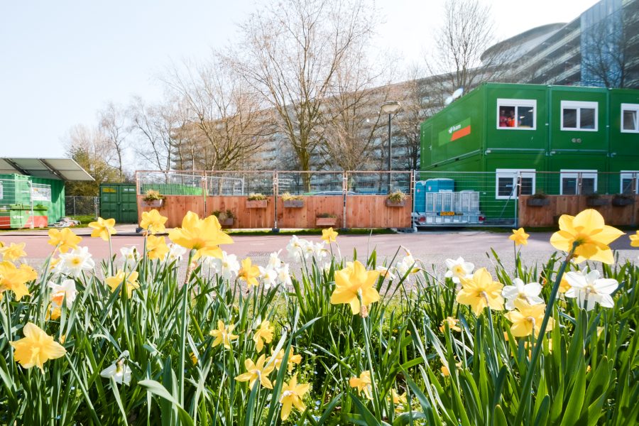 groenebouwhekken_groeneveen-13